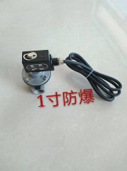 防爆脈沖電磁閥、上海防爆脈沖電磁閥、正品防爆電磁脈沖閥價(jià)格差異！笠志