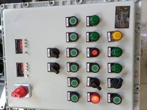 配電柜 防爆型配電機 輸送設(shè)備配電柜