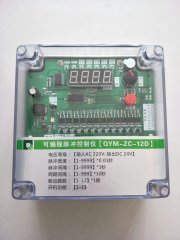 脈沖控制儀 小型控制箱 低電壓控制柜 旋扭控制儀 笠志環(huán)保
